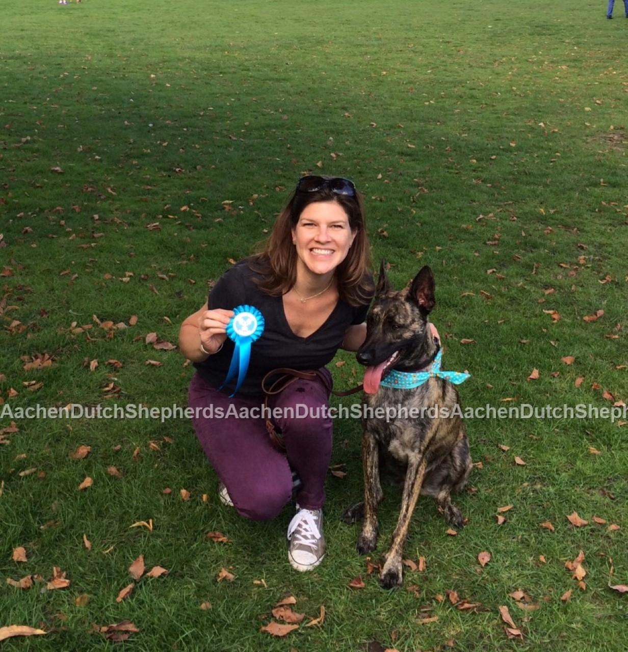 Woman with her award winning Dutch Shepherd