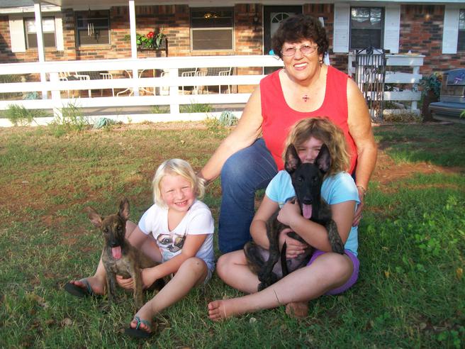 Mom and great grandkids with pups